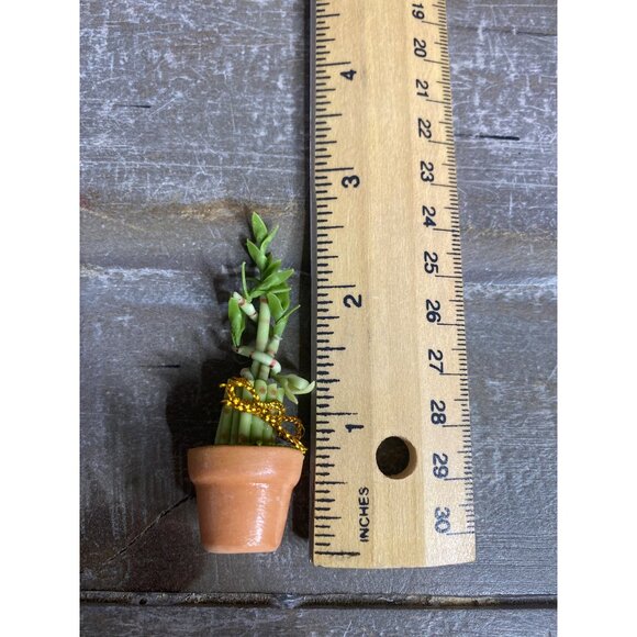 Dollhouse Miniature White Table 2 Chairs Potted Lucky Bamboo Plant Metal Chairs - Picture 14 of 14